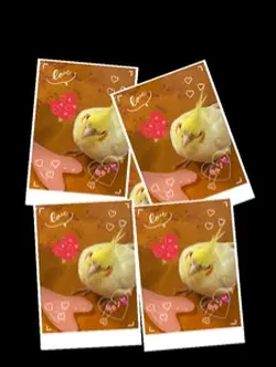 うちコスダンプ作ってみた❤︎かわいい~