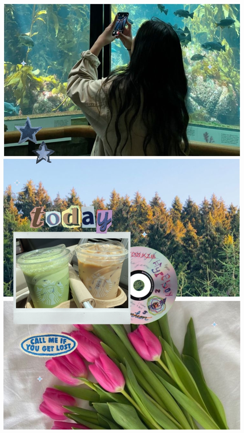 Aesthetic Template