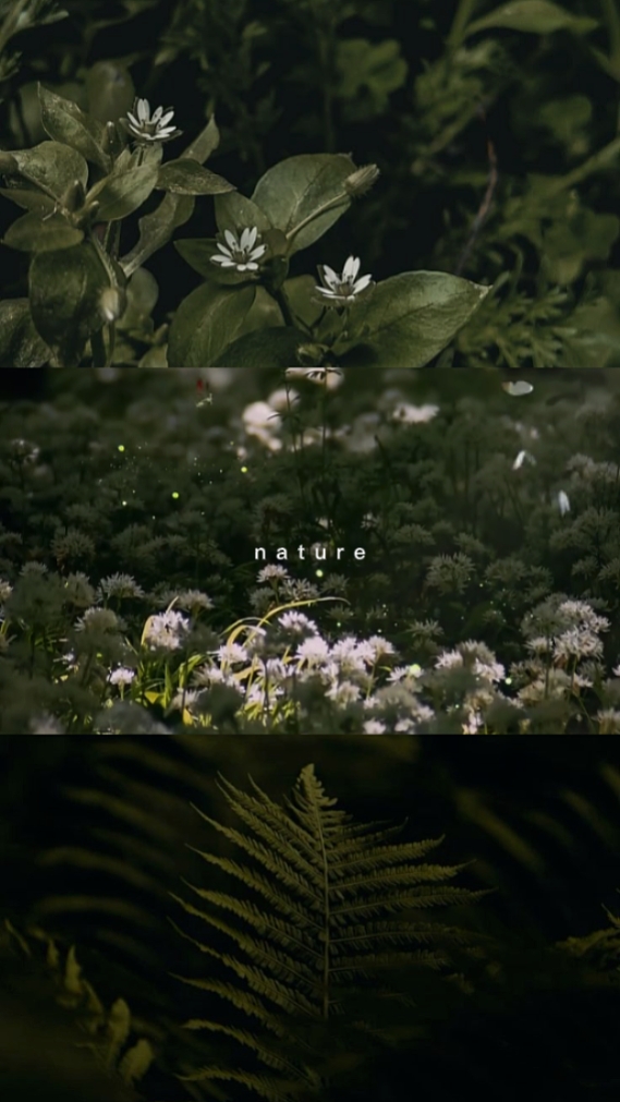 nature