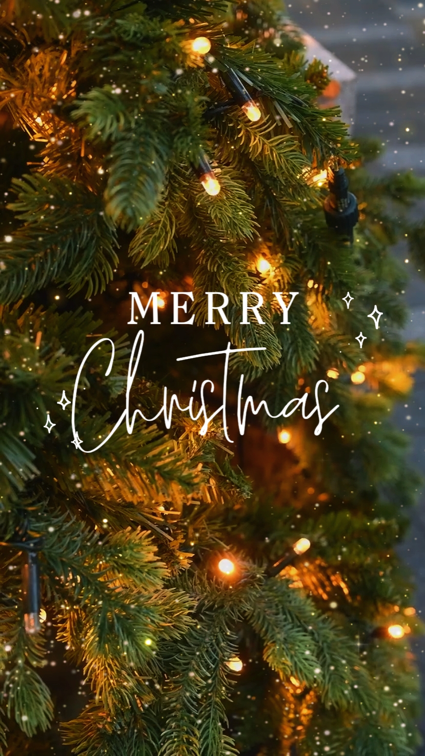 Feliz Navidad