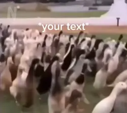Duck army