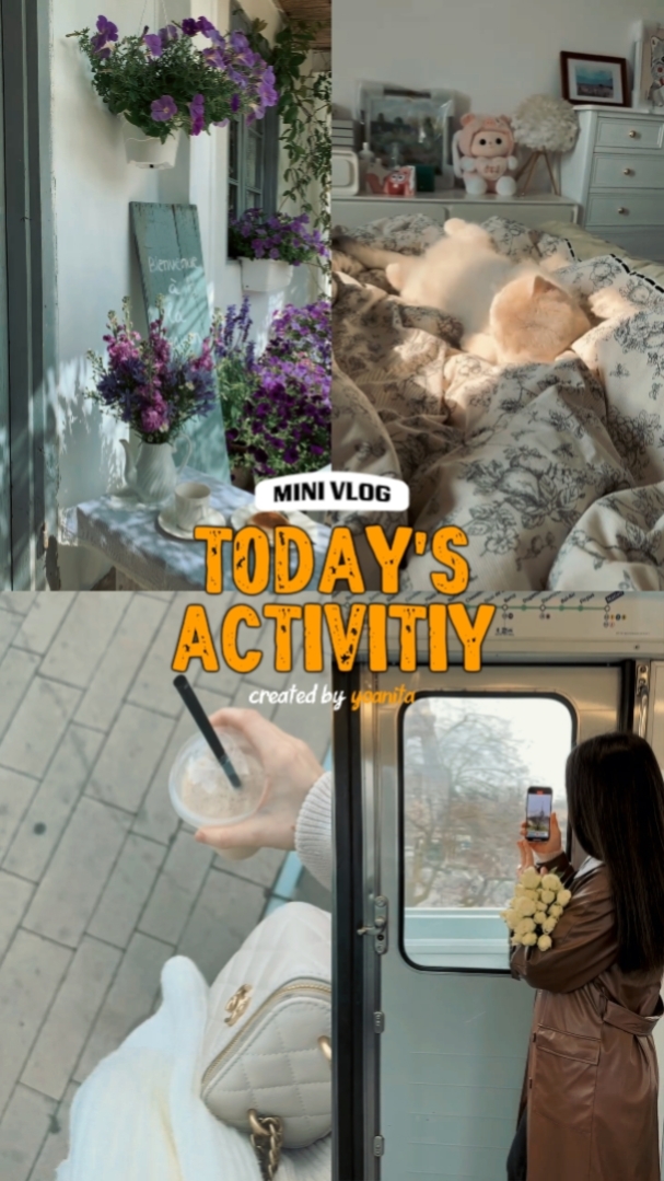 Today's Activity