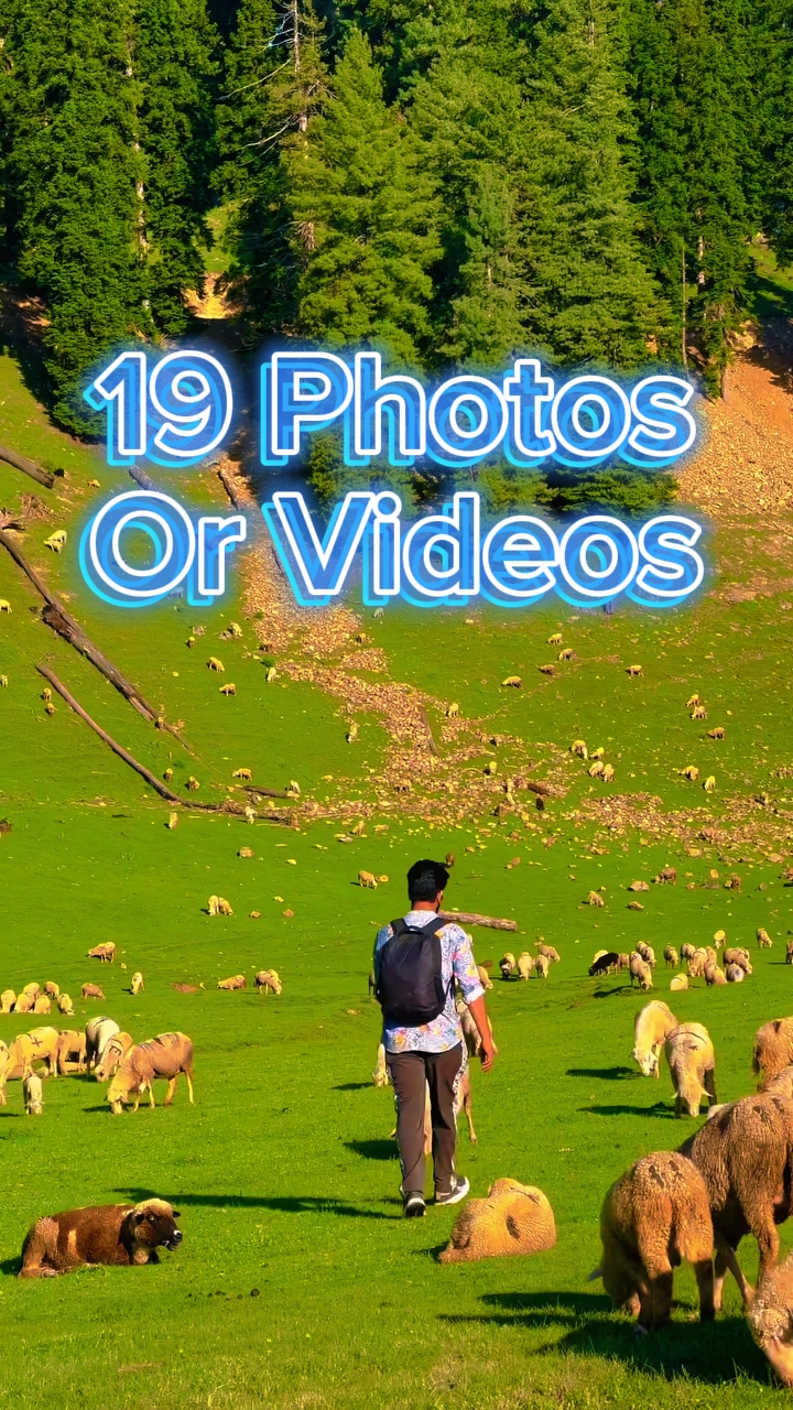 19 slides de fotos