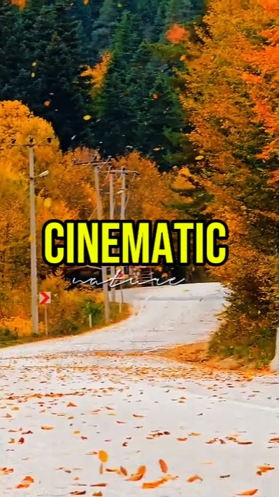 CINEMATIC NATURE 