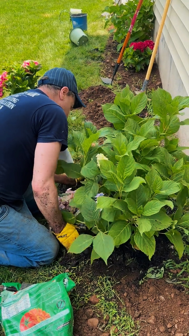 Jardinería