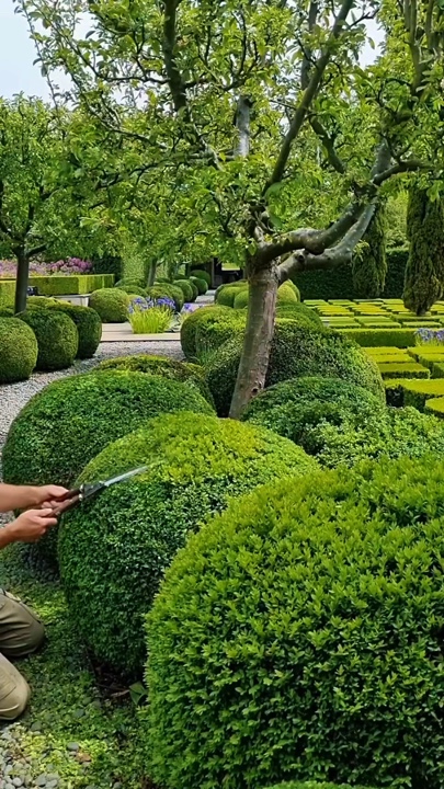 Jardinería