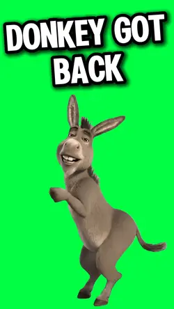 BABY GOT BACK DONKEY