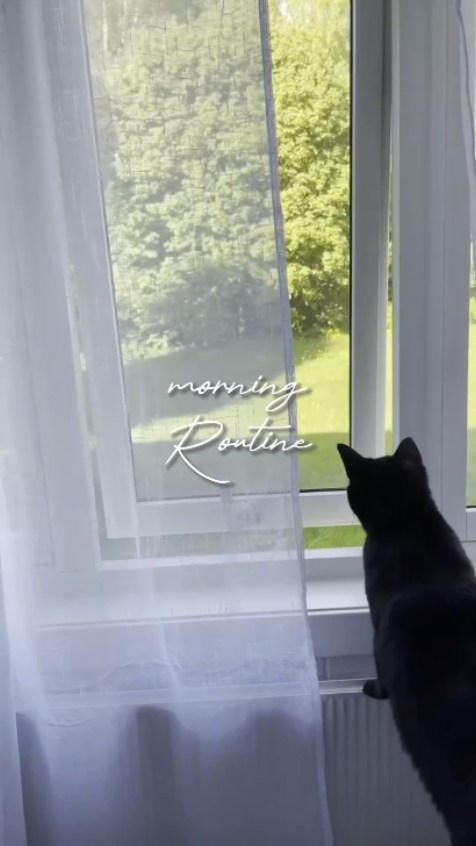 Morning Routine