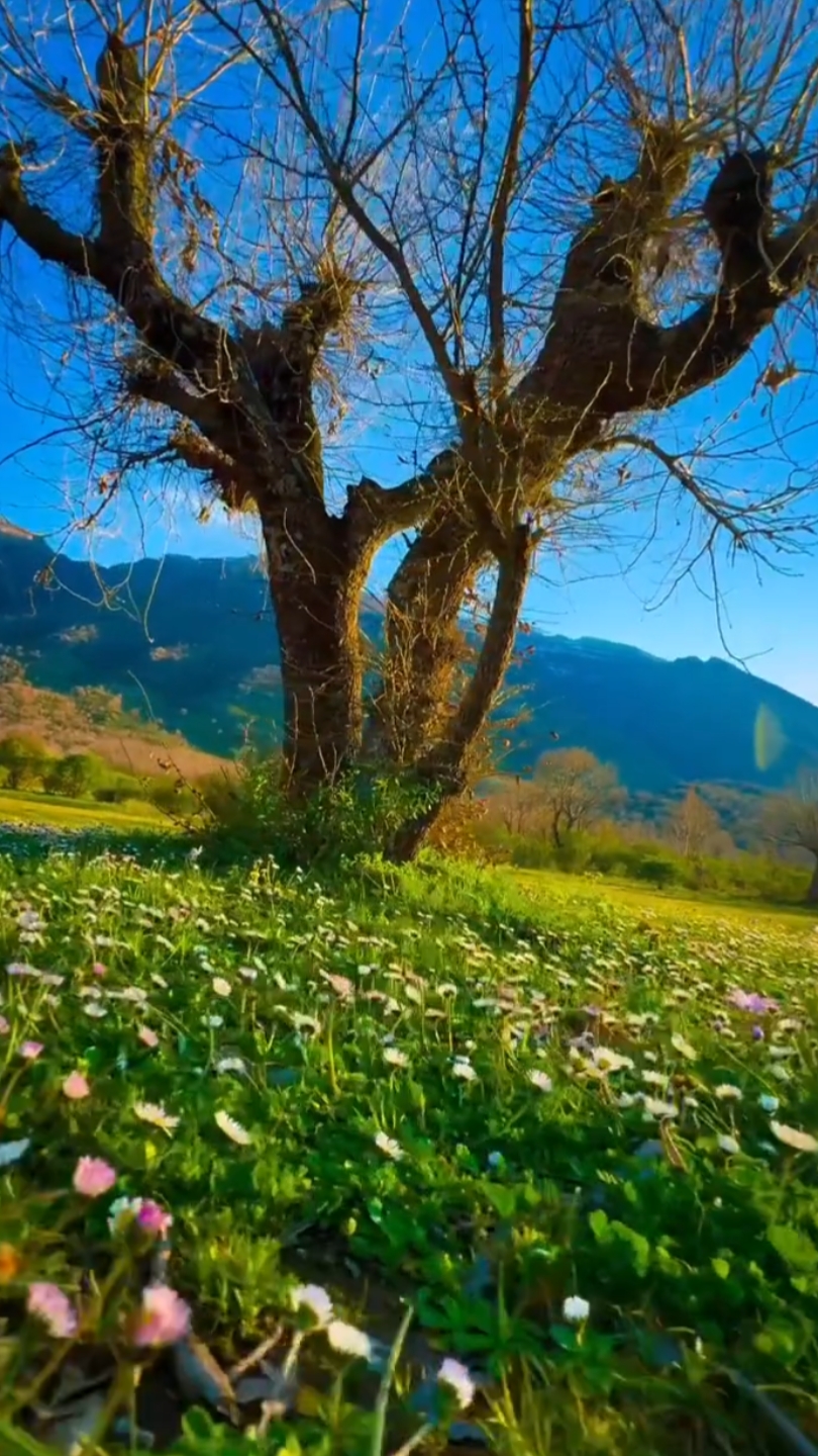 Nature