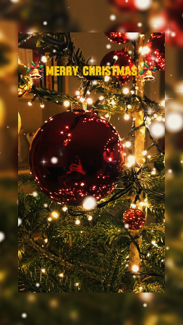 Feliz Navidad