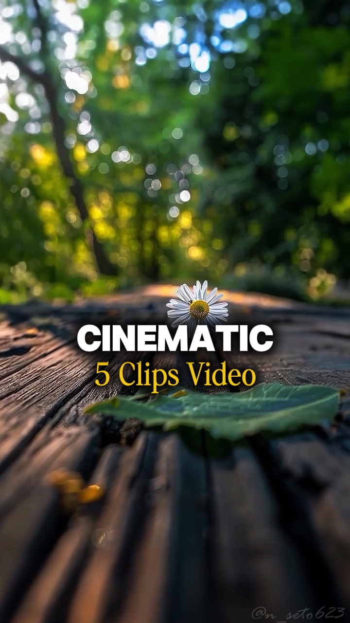 5 CLIPS DE VIDEO 