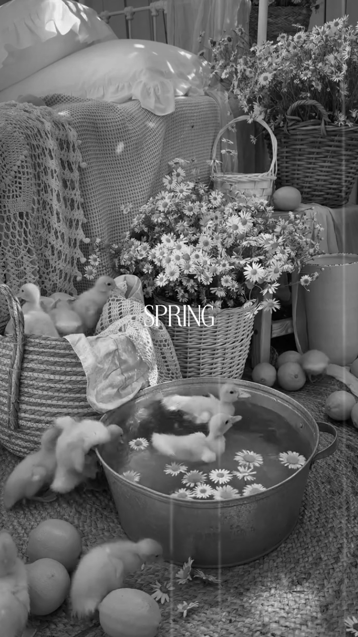 SPRING
