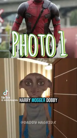 Daddyhagrid 