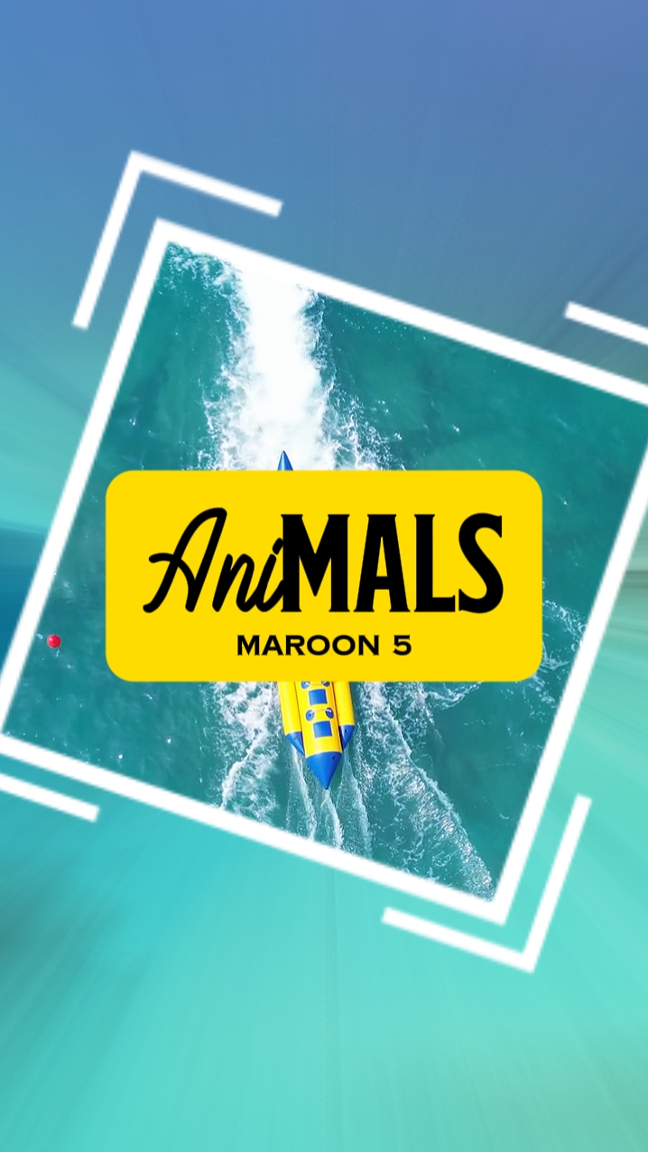 ANIMALES | VLOG
