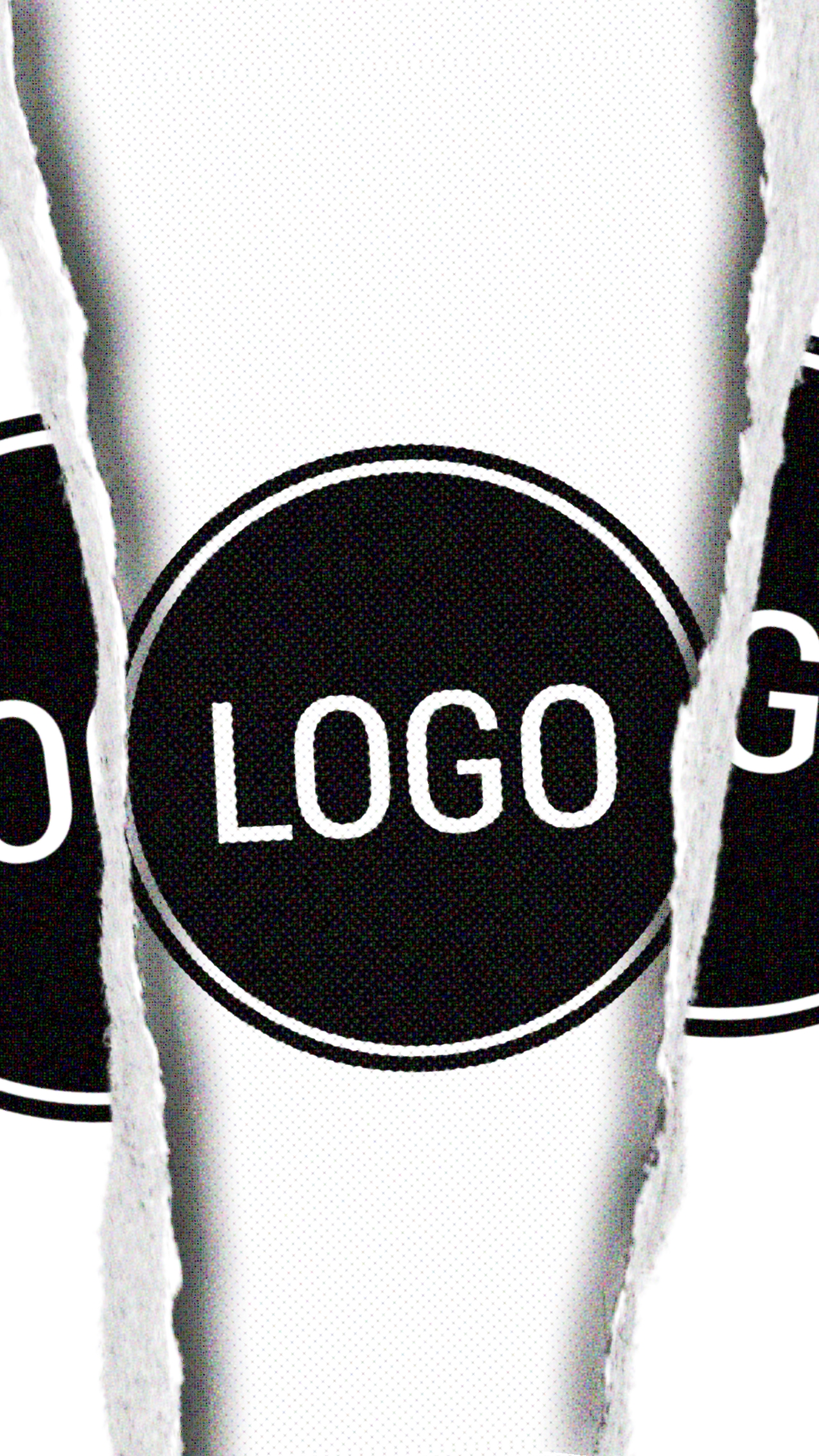 Logo Intro
