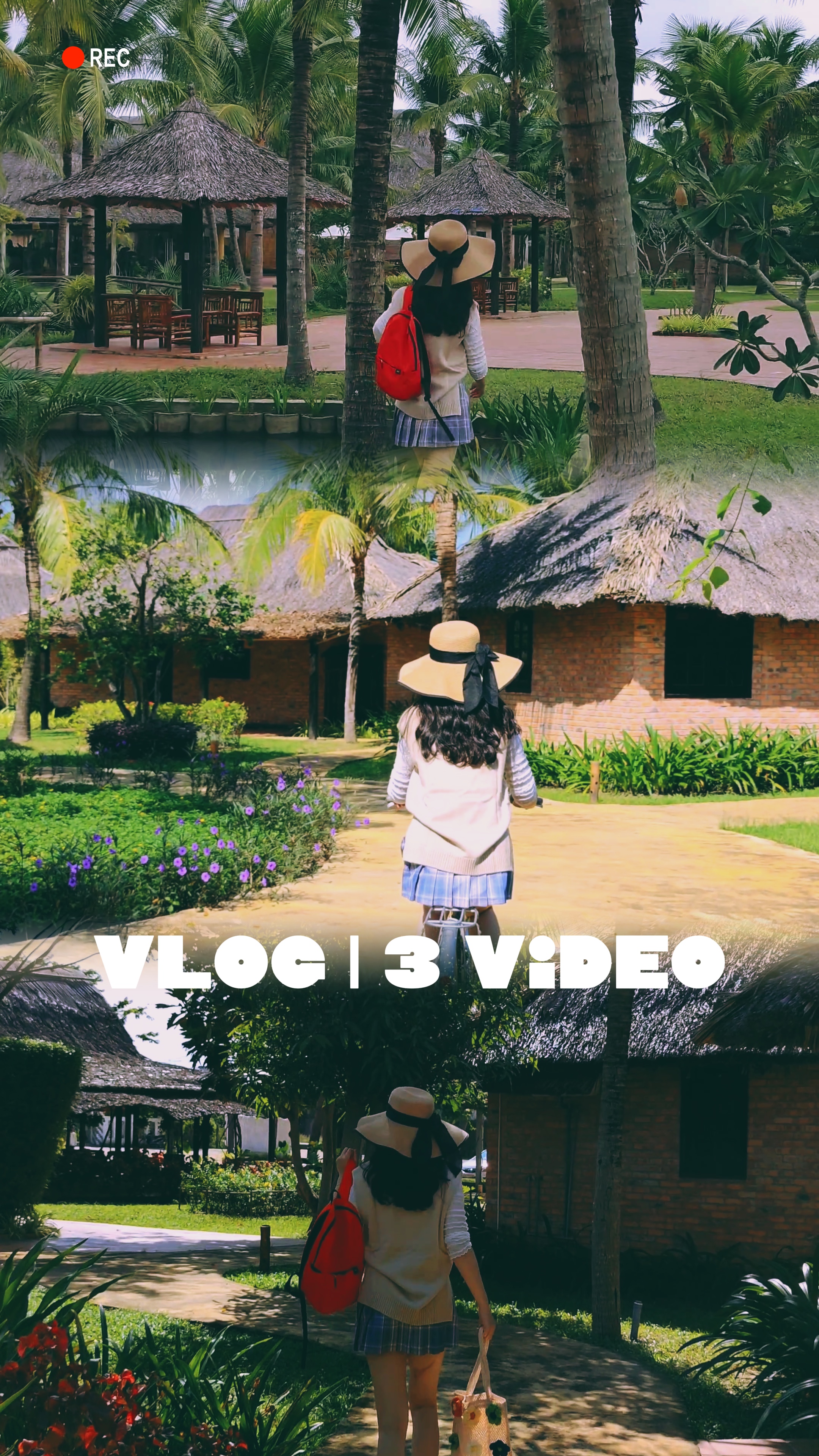 VLOG | 3 VIDEO