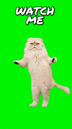 WATCH ME WALK