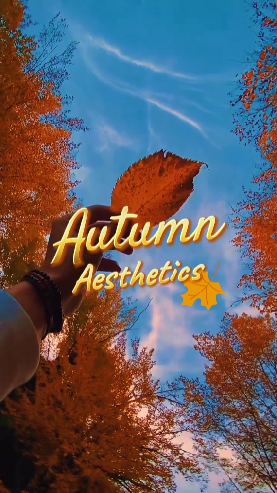 Auntumn Estetik 