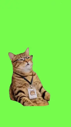 Gato pensando