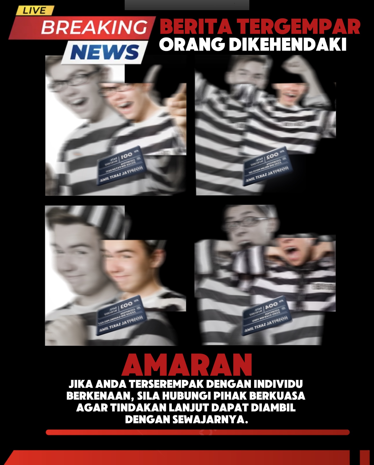 뉴스 밈