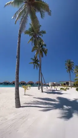 Beach Aesthetic