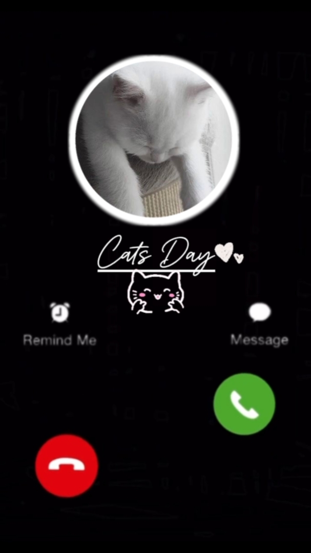 Cat Day