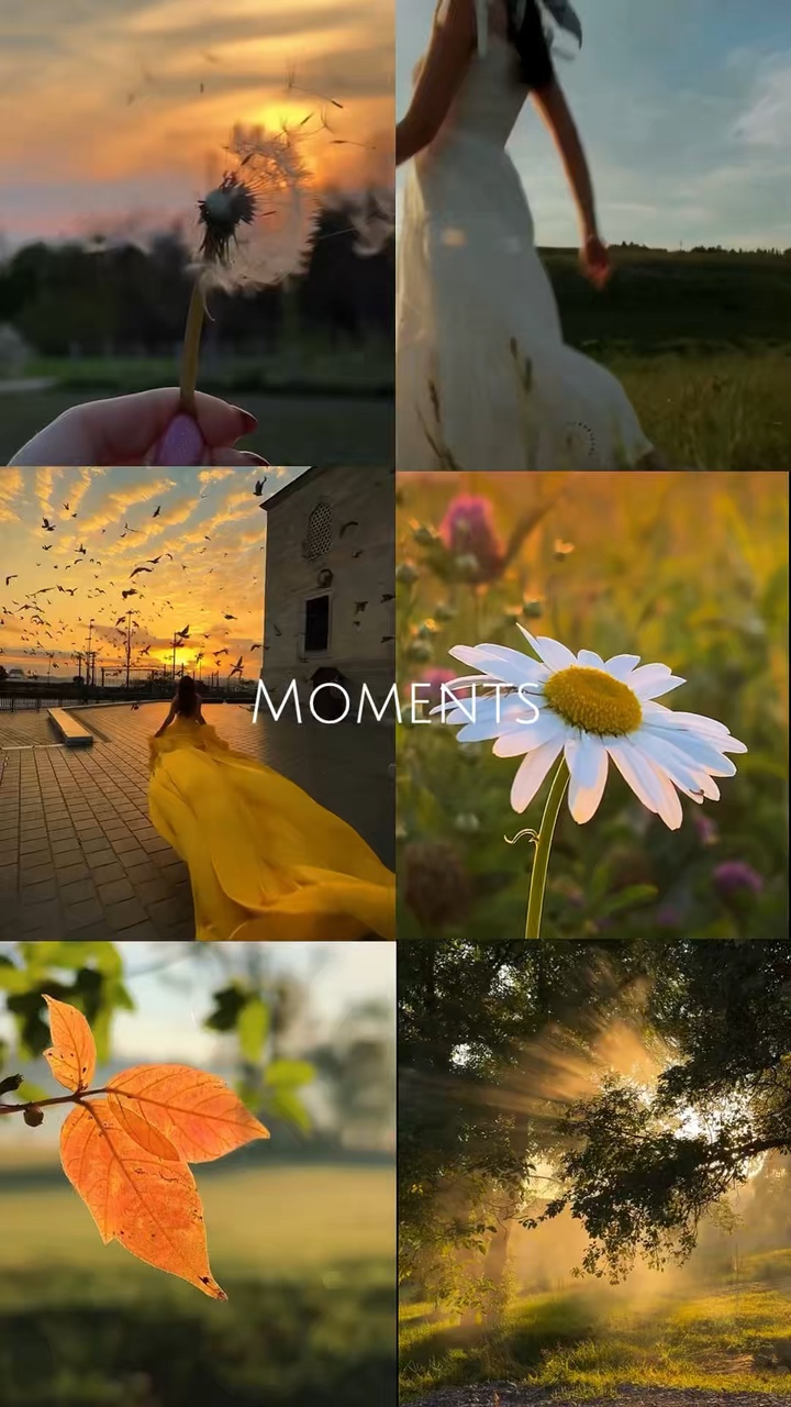 Moments