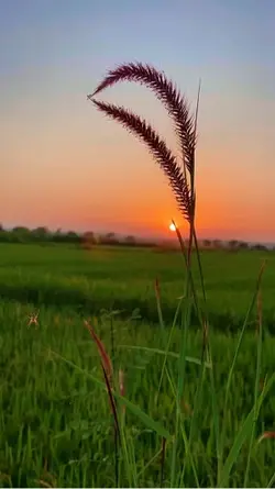 smooth slowmotion