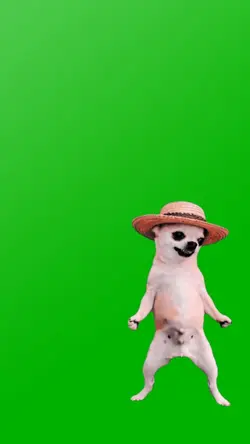 STRAWHAT CHIWY