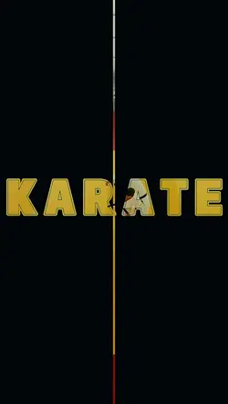 Karate Moments