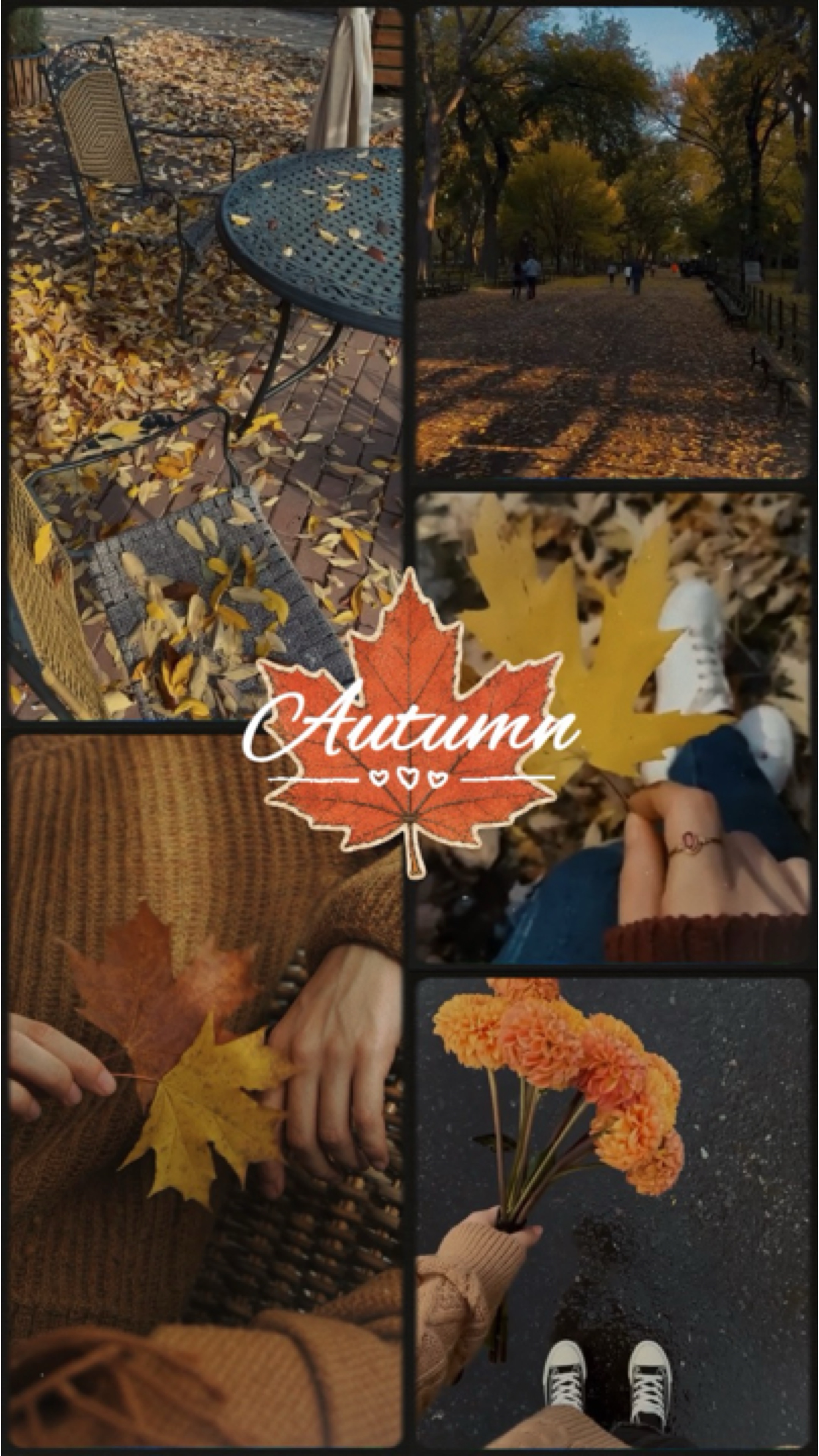 Autumn in collage