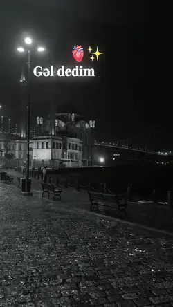 gel dedim geldim