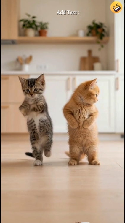 Süße Katze.. 