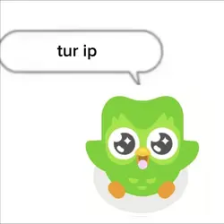 tur ip ip ip