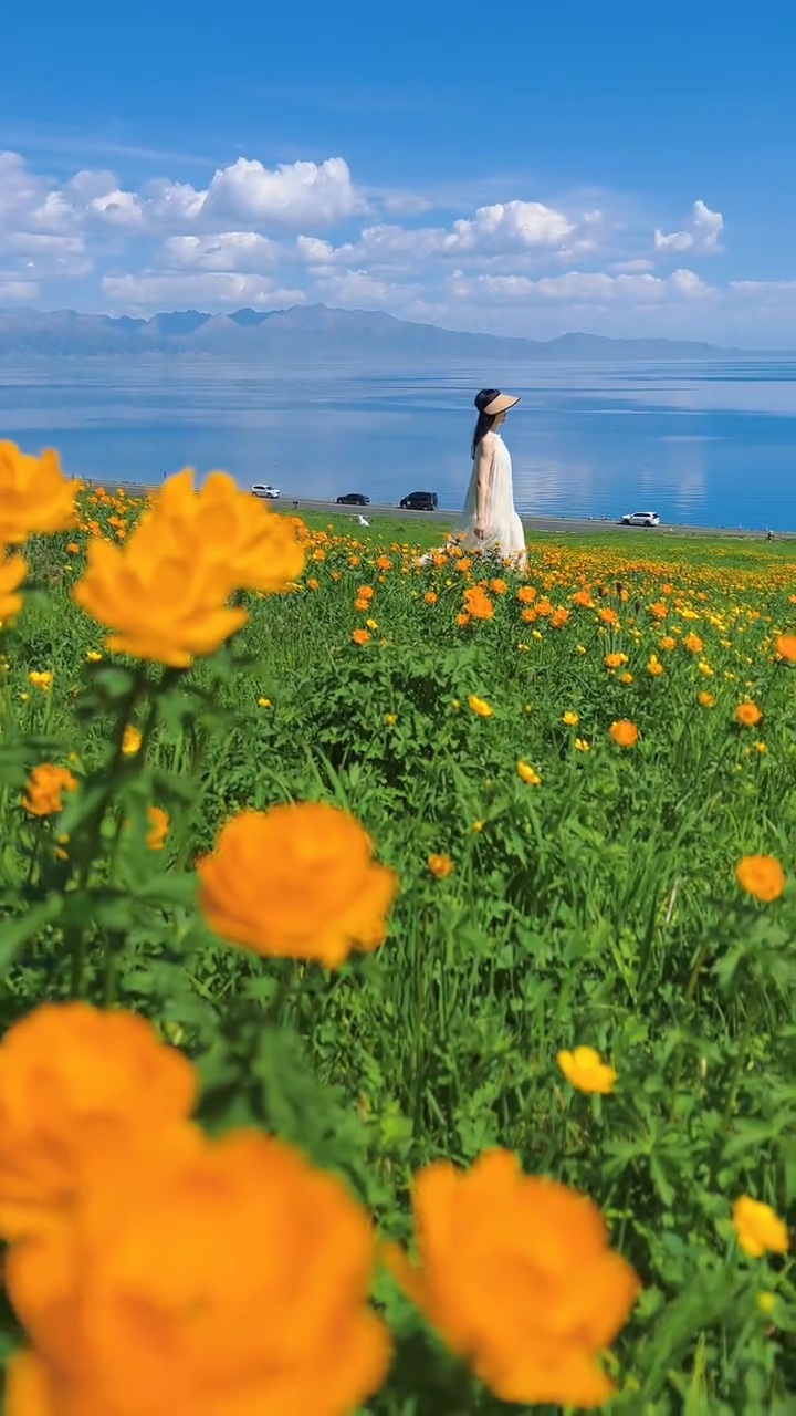 Spring Color🌼