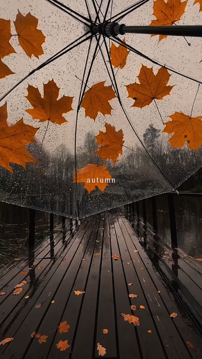 autumn 