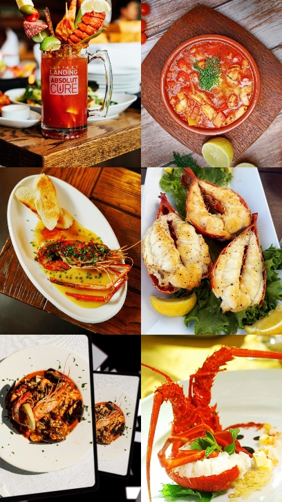 Modelo de comida