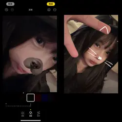 2張