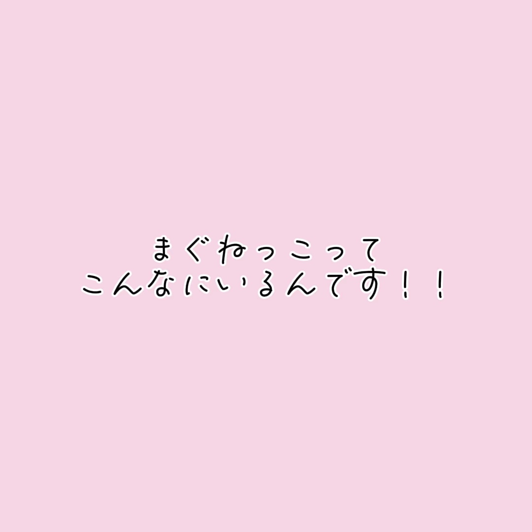 𓏸𓏸ってこんなにいるんです！