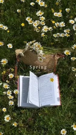 Spring time