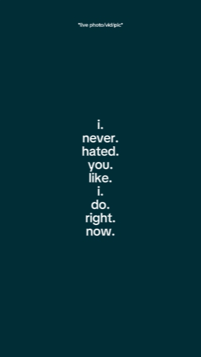 i never hated you