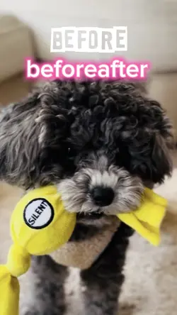 beforeafter✨️