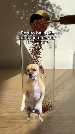Perrito bailando