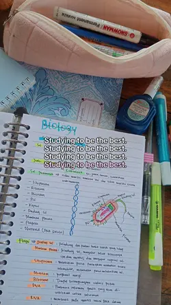 study hard