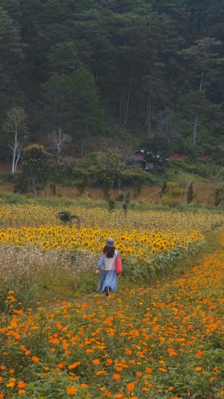 Flores Del Sol 🌻