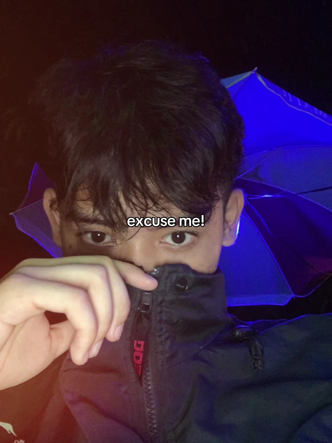 excuse me have you 