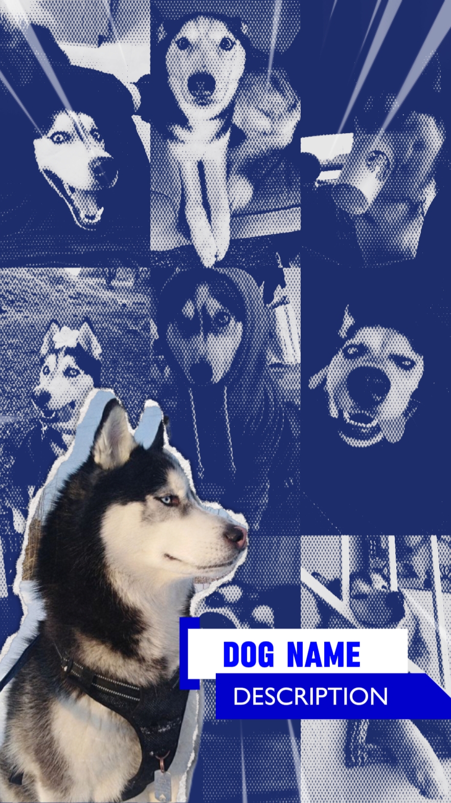 INTRODUCE PET
