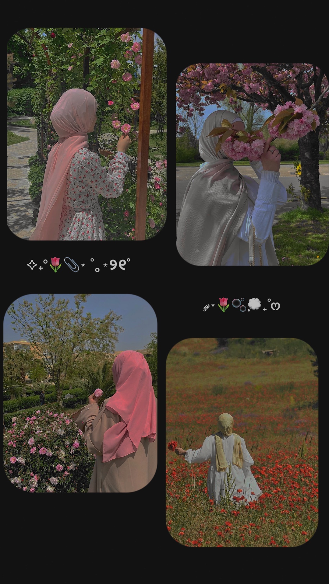 templet aesthetic 