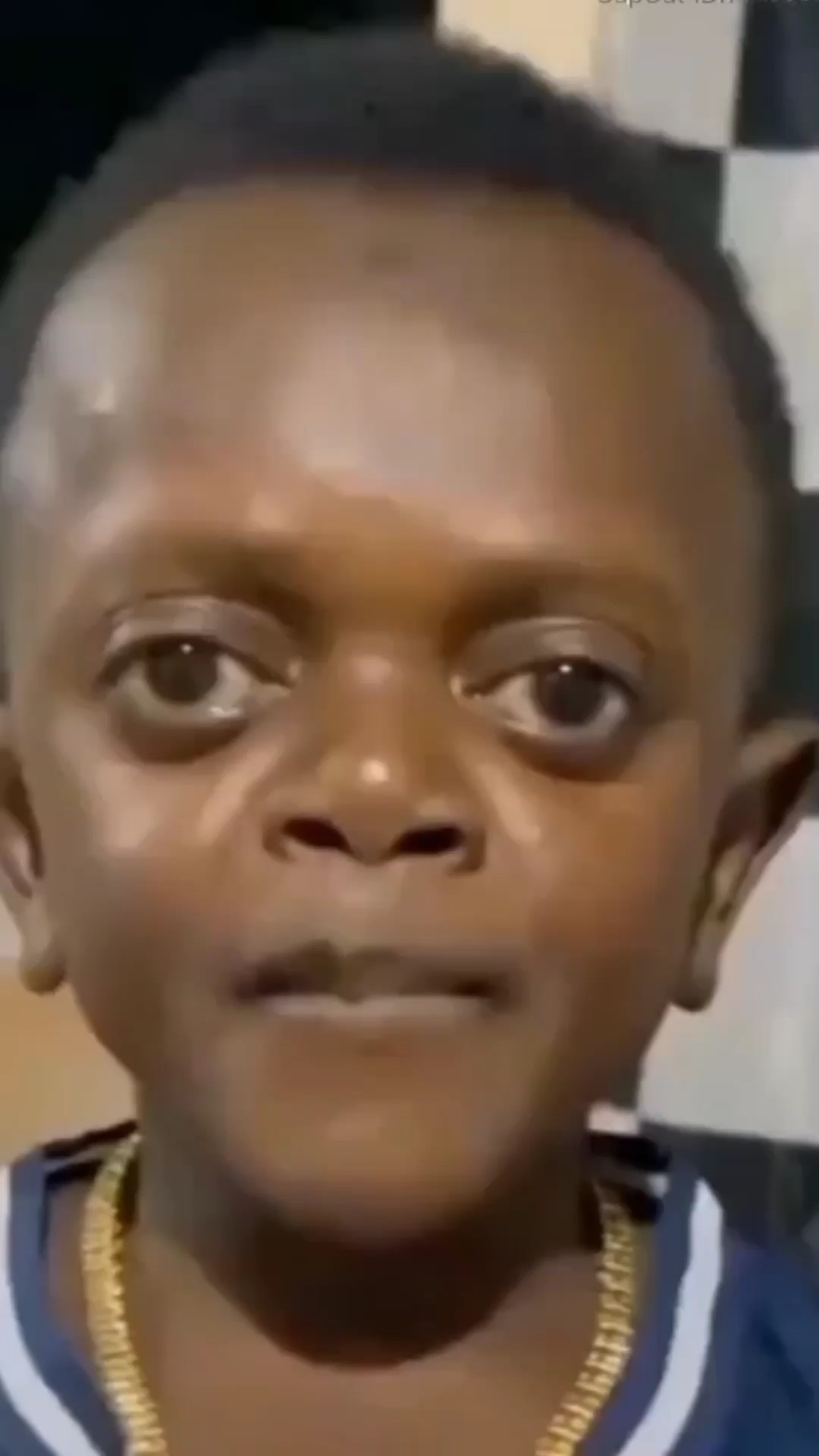 재미있는 밈