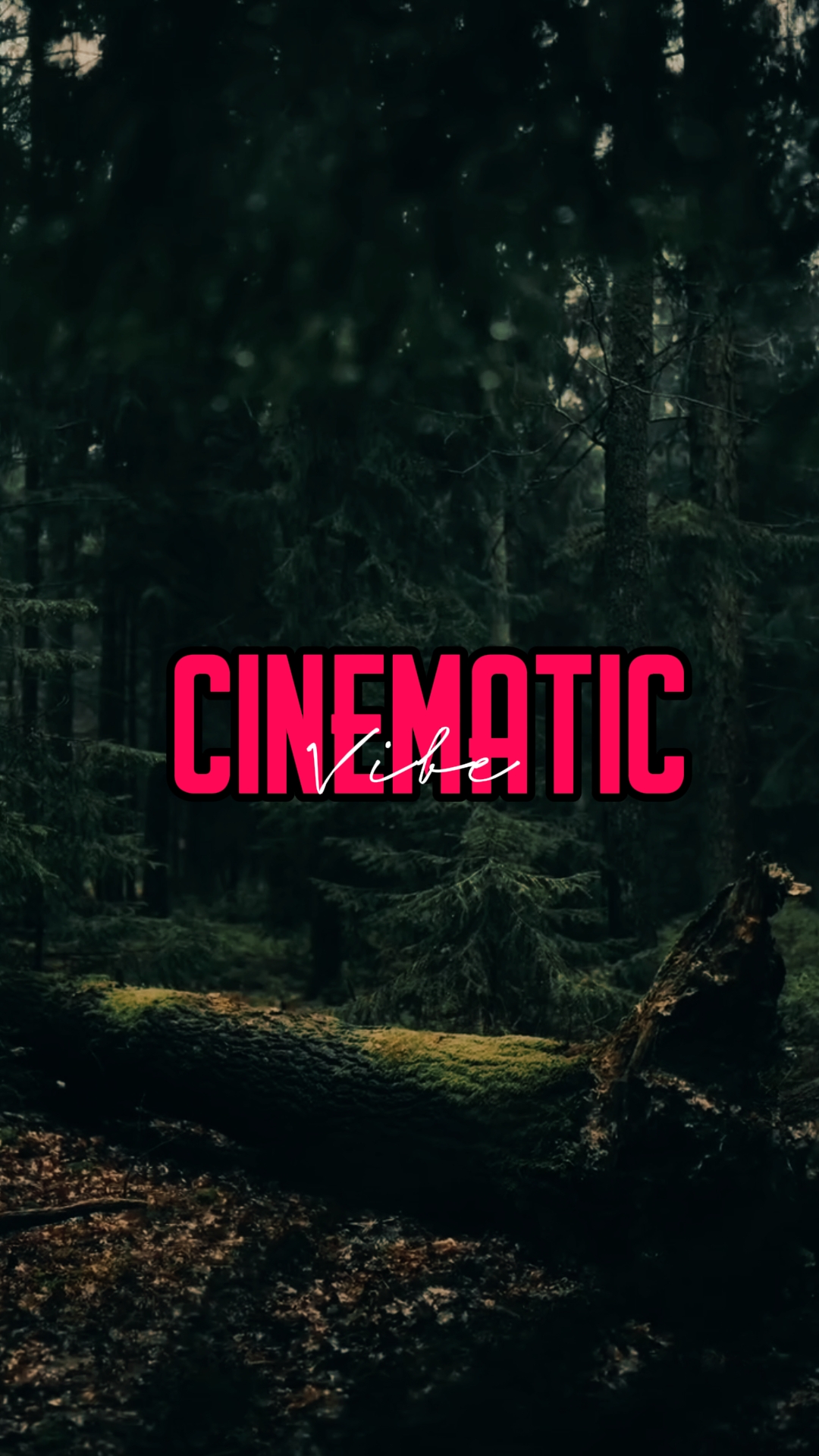 5 clips cinematic 